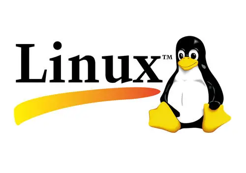 十分常用的linux基础命令，手动收藏！！